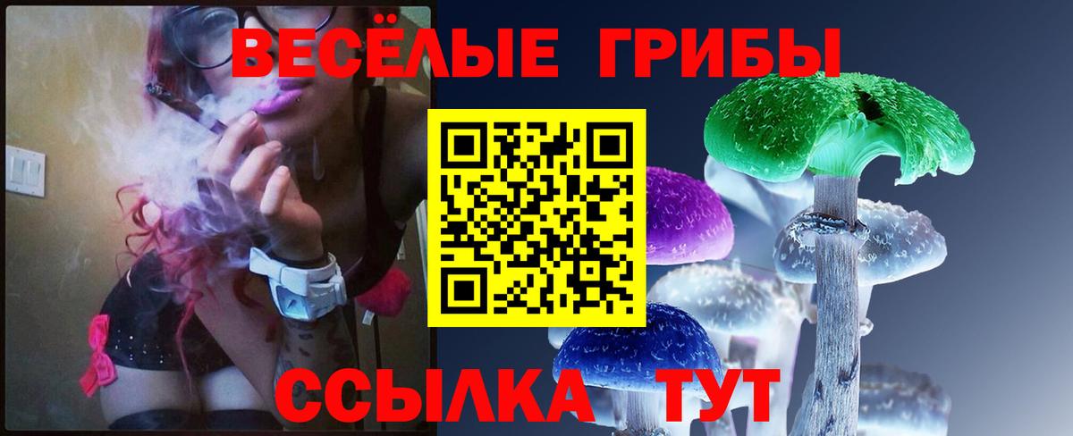 Галлюциногенные грибы Magic Shrooms  Вход с VPN  Галлюциногенные грибы прущие грибы  Лениногорск 