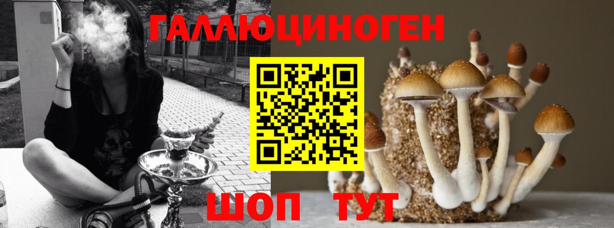 Псилоцибиновые грибы ЛСД Лениногорск